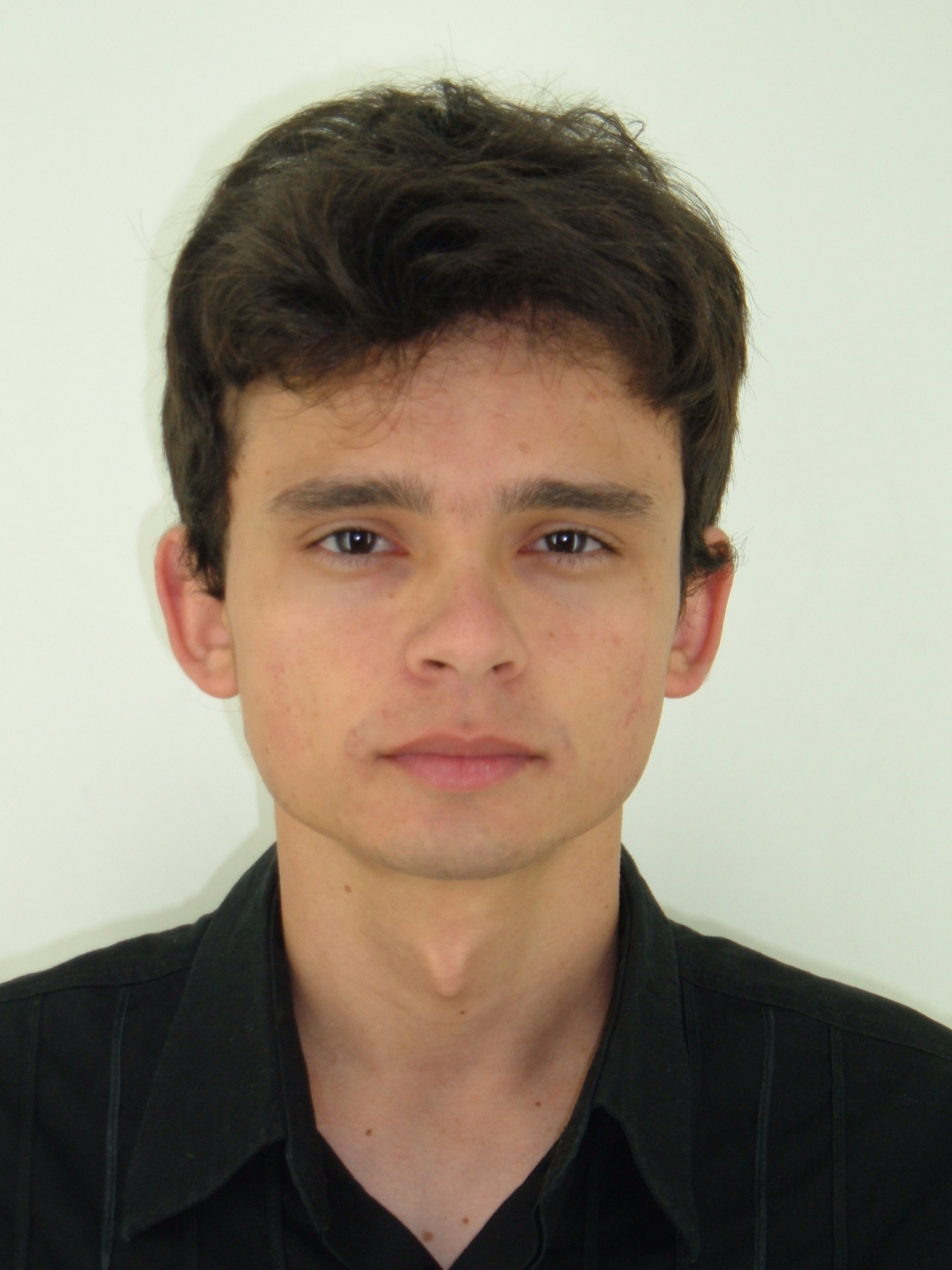 Emanuel Jos� Gomes de Ara�jo
